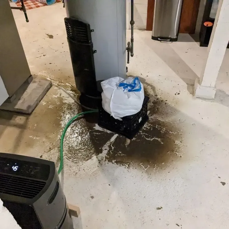 Sewage Backup Cleanup Service in Golden Valley County, MT